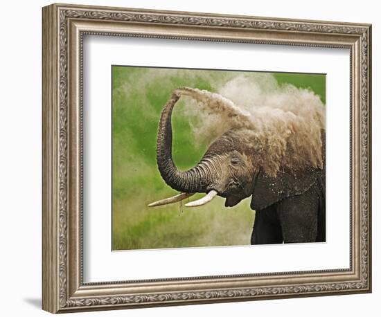 African Elephant Taking Dust Bath-Martin Harvey-Framed Photographic Print