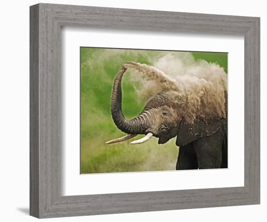 African Elephant Taking Dust Bath-Martin Harvey-Framed Photographic Print