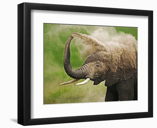 African Elephant Taking Dust Bath-Martin Harvey-Framed Photographic Print