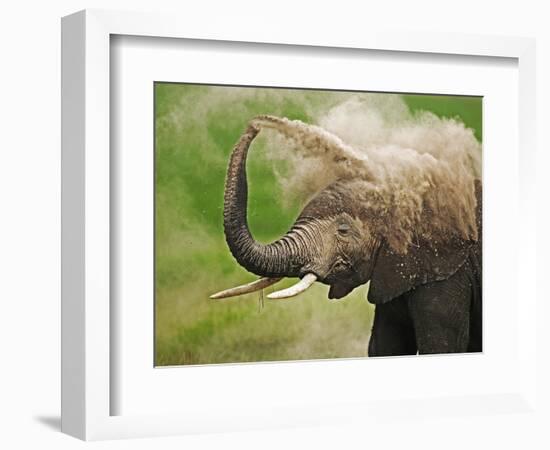 African Elephant Taking Dust Bath-Martin Harvey-Framed Photographic Print