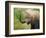 African Elephant Taking Dust Bath-Martin Harvey-Framed Photographic Print