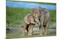 Premium Photographic Print