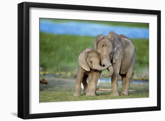Photographic Print, , large