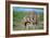 African Elephant Two Calves with Trunks Together-null-Framed Photographic Print