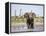 African Elephant, Warning Posture Display at Waterhole with Giraffe, Etosha National Park, Namibia-Tony Heald-Framed Premier Image Canvas