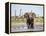 African Elephant, Warning Posture Display at Waterhole with Giraffe, Etosha National Park, Namibia-Tony Heald-Framed Premier Image Canvas