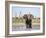 African Elephant, Warning Posture Display at Waterhole with Giraffe, Etosha National Park, Namibia-Tony Heald-Framed Photographic Print