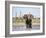 African Elephant, Warning Posture Display at Waterhole with Giraffe, Etosha National Park, Namibia-Tony Heald-Framed Photographic Print