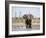 African Elephant, Warning Posture Display at Waterhole with Giraffe, Etosha National Park, Namibia-Tony Heald-Framed Photographic Print