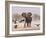 African Elephant, & Whitebacked Vultures by Waterhole, Etosha National Park, Namibia-Tony Heald-Framed Photographic Print