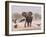 African Elephant, & Whitebacked Vultures by Waterhole, Etosha National Park, Namibia-Tony Heald-Framed Photographic Print