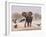 African Elephant, & Whitebacked Vultures by Waterhole, Etosha National Park, Namibia-Tony Heald-Framed Photographic Print