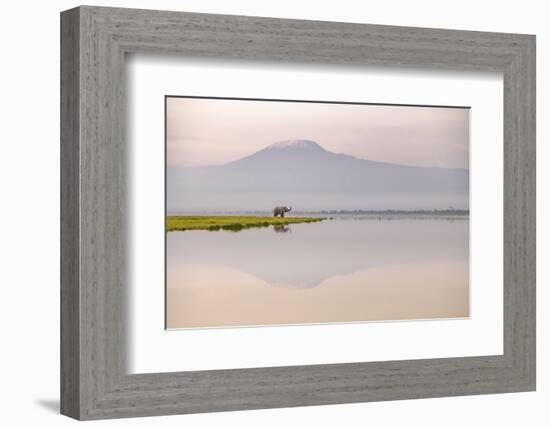 African elephant with Mount Kilimajaro in the background-Wim van den Heever-Framed Photographic Print