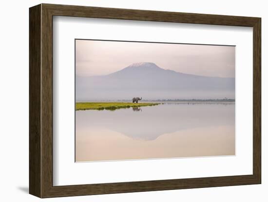 African elephant with Mount Kilimajaro in the background-Wim van den Heever-Framed Photographic Print