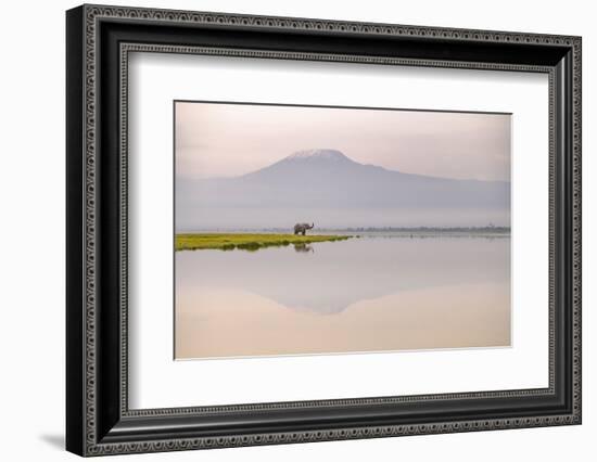 African elephant with Mount Kilimajaro in the background-Wim van den Heever-Framed Photographic Print