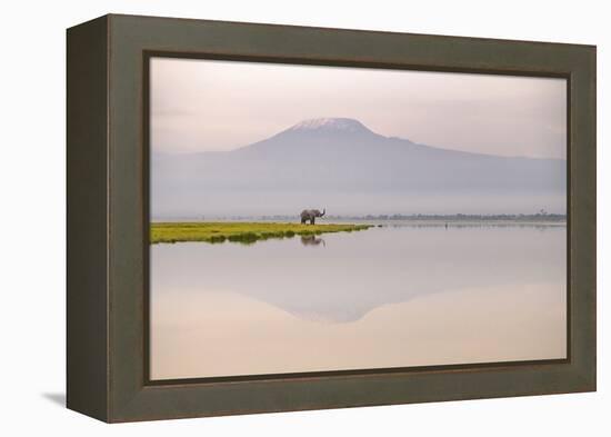 African elephant with Mount Kilimajaro in the background-Wim van den Heever-Framed Premier Image Canvas