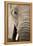 African Elephant-null-Framed Premier Image Canvas