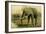 African Elephant-null-Framed Giclee Print