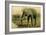 African Elephant-null-Framed Premium Giclee Print