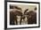 African Elephants 049-Bob Langrish-Framed Photographic Print