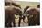 African Elephants 049-Bob Langrish-Mounted Photographic Print