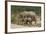 African Elephants 055-Bob Langrish-Framed Photographic Print