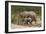 African Elephants 055-Bob Langrish-Framed Photographic Print