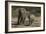 African Elephants 086-Bob Langrish-Framed Photographic Print