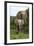 African Elephants 138-Bob Langrish-Framed Photographic Print