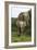 African Elephants 138-Bob Langrish-Framed Photographic Print