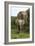 African Elephants 138-Bob Langrish-Framed Photographic Print