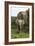 African Elephants 138-Bob Langrish-Framed Photographic Print