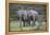 African Elephants 171-Bob Langrish-Framed Premier Image Canvas