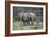 African Elephants 171-Bob Langrish-Framed Photographic Print