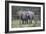 African Elephants 171-Bob Langrish-Framed Photographic Print