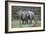 African Elephants 171-Bob Langrish-Framed Photographic Print