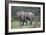 African Elephants 172-Bob Langrish-Framed Photographic Print