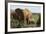 African Elephants 182-Bob Langrish-Framed Photographic Print