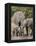 African Elephants and Baby (Loxodonta Africana), Masai Mara National Reserve, Kenya-Sergio Pitamitz-Framed Premier Image Canvas