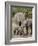 African Elephants and Baby (Loxodonta Africana), Masai Mara National Reserve, Kenya-Sergio Pitamitz-Framed Photographic Print