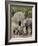 African Elephants and Baby (Loxodonta Africana), Masai Mara National Reserve, Kenya-Sergio Pitamitz-Framed Photographic Print