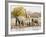 African Elephants and Giraffe at Watering Hole, Namibia-Joe Restuccia III-Framed Photographic Print