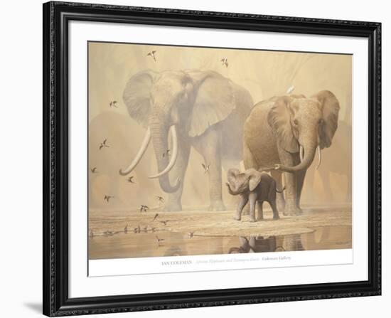 African Elephants and Namaqua Doves-Ian Coleman-Framed Art Print