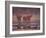 African Elephants at Water Hole, Etosha Np, Namibia-Tony Heald-Framed Photographic Print