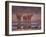 African Elephants at Water Hole, Etosha Np, Namibia-Tony Heald-Framed Photographic Print