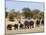 African Elephants, Etosha National Park, Namibia, Africa-Ann & Steve Toon-Mounted Photographic Print