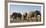 African elephants (Loxodonta africana) at waterhole, Botswana, Africa-Sergio Pitamitz-Framed Photographic Print