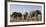 African elephants (Loxodonta africana) at waterhole, Botswana, Africa-Sergio Pitamitz-Framed Photographic Print