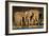 African Elephants (Loxodonta Africana) at Waterhole, Etosha National Park, Namibia-null-Framed Photographic Print