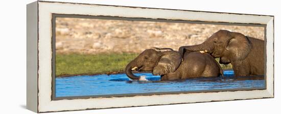 African Elephants (Loxodonta Africana) Bathing at Waterhole, Etosha National Park, Namibia-null-Framed Stretched Canvas